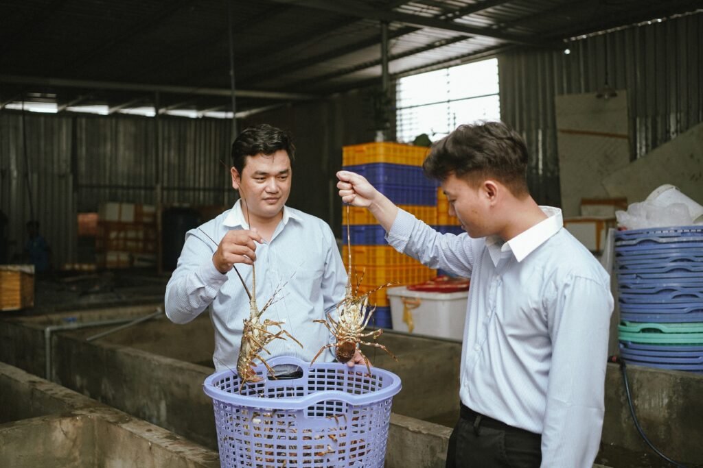 thi-cong-farm-huoi-hai-san